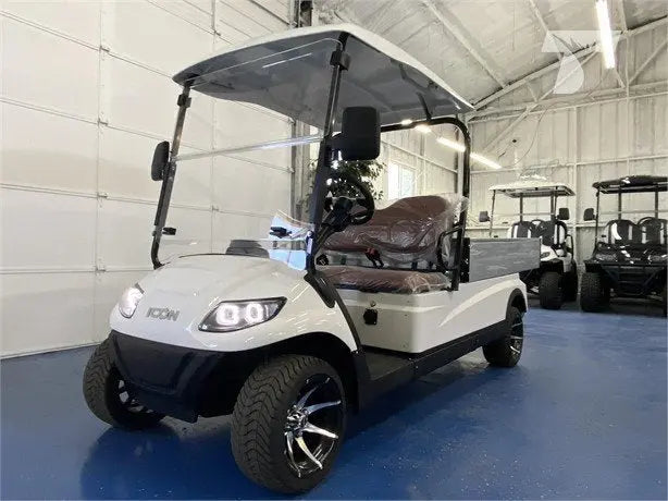 2021 ICON I20U golfcartforsale